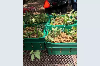 340 SW 217  Ave, Homestead, FL 33034 - Photo 5