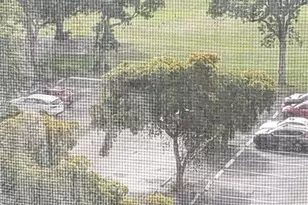 4174 Inverrary Dr, Lauderhill, FL 33319 - Photo 53