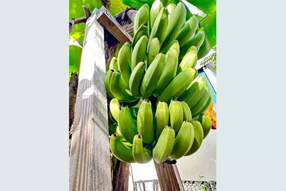 11117 SW 122nd Ct, Miami, FL 33186 - Photo 29