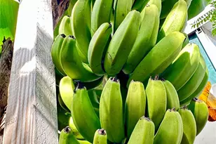 11117 SW 122nd Ct, Miami, FL 33186 - Photo 29