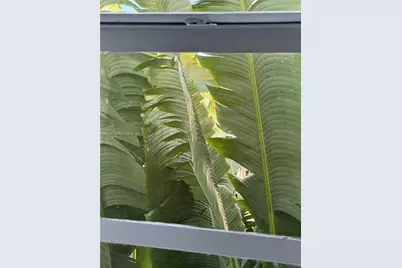 1559 Michigan Ave #302, Miami Beach, FL 33139 - Photo 9