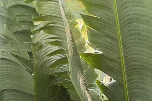 1559 Michigan Ave, Miami Beach, FL 33139 - Photo 9