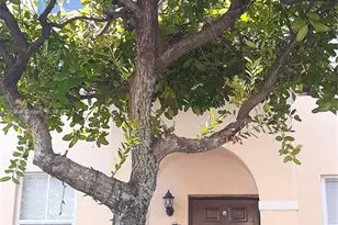 8091 W 36th Ave, Hialeah, FL 33018 - Photo 3