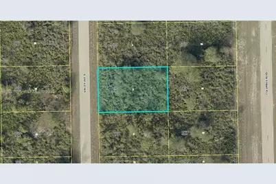 645 Valley Avenue S, Lehigh Acres, FL 33974 - Photo 1