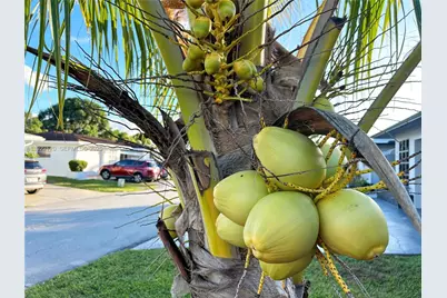 4905 NW 49th Rd, Tamarac, FL 33319 - Photo 19