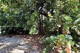 [Address not provided], Hallandale Beach, FL 33009 - Photo 11