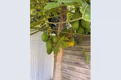 30660 SW 193rd Ave, Homestead, FL 33030 - Photo 31