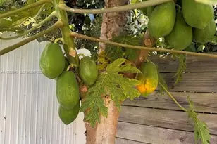 30660 SW 193rd Ave, Homestead, FL 33030 - Photo 31