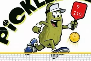 9800 N Hollybrook Lake Dr, Pembroke Pines, FL 33025 - Photo 47