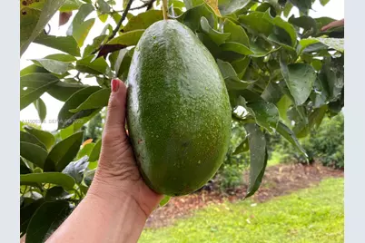 20401 SW 184th St, Miami, FL 33187 - Photo 11