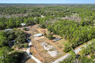 10850 Country Haven Dr, Other City - In The State Of Florida, FL 33809 - Photo 41