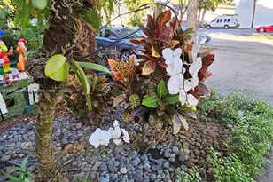 2750 N 34th Ave, Hollywood, FL 33021 - Photo 33