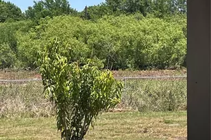 675 N Romero, Clewiston, FL 33440 - Photo 61