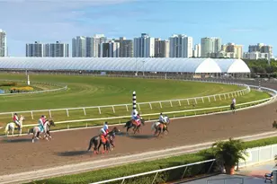 501 Blue Heron Dr, Hallandale Beach, FL 33009 - Photo 31