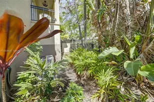 3300 Bird Ave, Miami, FL 33133 - Photo 3