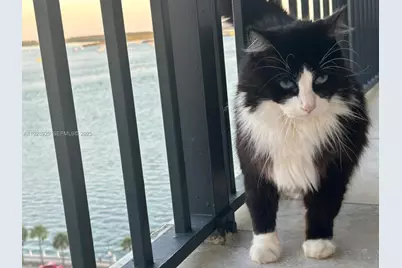 1450 Brickell Bay Dr #1706, Miami, FL 33131 - Photo 49