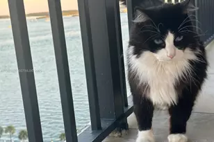 1450 Brickell Bay Dr, Miami, FL 33131 - Photo 49