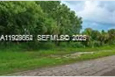 613 Grant Blvd, Lehigh Acres, FL 33974 - Photo 3