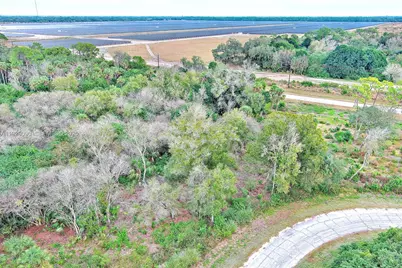 173 Carousel Ave, Labelle, FL 33935 - Photo 5