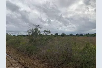 16122 NW 318th St, Okeechobee, FL 34972 - Photo 9