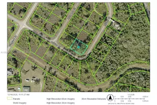 1917 Miriam St, Lehigh Acres, FL 33972 - Photo 1