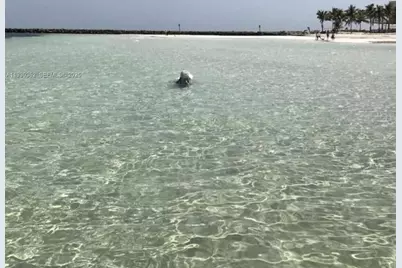 75433 Overseas Hwy, Islamorada, FL 33036 - Photo 3