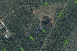 546 Palm St, Lake Placid, FL 33852 - Photo 1
