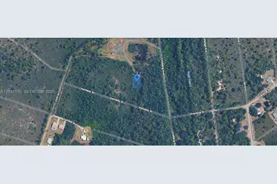 546 Palm Street, Lake Placid, FL 33852 - Photo 5