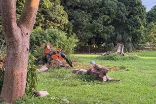 13990 SW 192nd St, Miami, FL 33177 - Photo 15