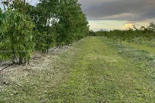 340Xx SW 217 Ave, Homestead, FL 33034 - Photo 17