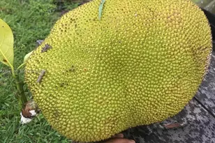 340Xx SW 217 Ave, Homestead, FL 33034 - Photo 5