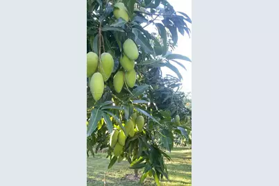 340Xx SW 217  Ave, Homestead, FL 33034 - Photo 9