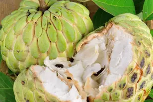 340Xx SW 217 Ave, Homestead, FL 33034 - Photo 7