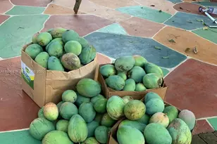 10955 SW 56th St, Miami, FL 33165 - Photo 39