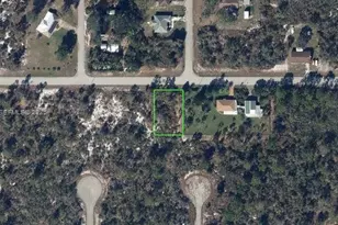 425 Lincoln, Lake Placid, FL 33852 - Photo 1
