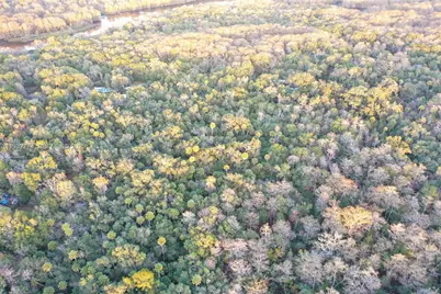 13254 E Shawnee Trl, Inverness, FL 34450 - Photo 1