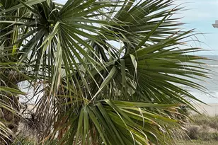 2836 Coastal Hwy, Saint Augustine, FL 32084 - Photo 15