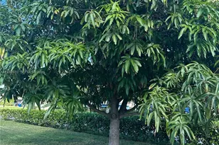 1611 NE 50th Ct, Fort Lauderdale, FL 33334 - Photo 3