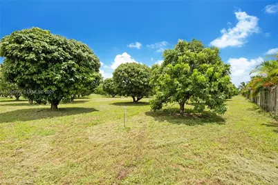 206 SW Street Between 137 Ave & 139 Ave, Miami, FL 33177 - Photo 9