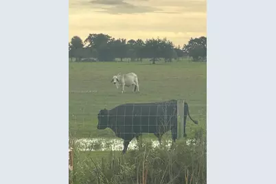 Nw 72 Ave, Okeechobee, FL 34972 - Photo 5