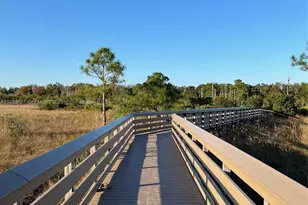 184 W Bay Cedar Cir, Jupiter, FL 33458 - Photo 45