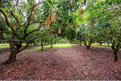 24350 SW 182nd Ave, Miami, FL 33031 - Photo 3