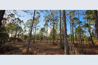17923 NW 298 St, Okeechobee, FL 34972 - Photo 5