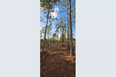 17923 NW 298 St, Okeechobee, FL 34972 - Photo 15