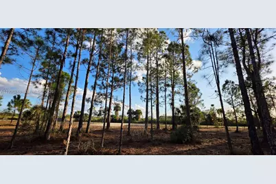 17923 NW 298 St, Okeechobee, FL 34972 - Photo 3