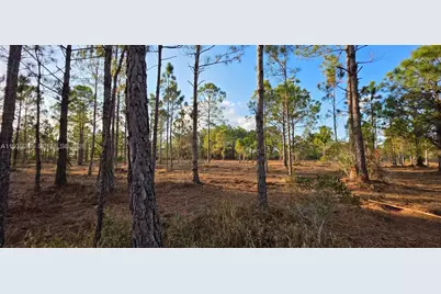 17923 NW 298 St, Okeechobee, FL 34972 - Photo 11