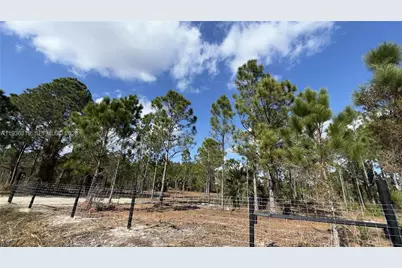 17975 NW 298 St, Okeechobee, FL 34972 - Photo 5