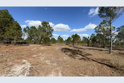 17975 NW 298 St, Okeechobee, FL 34972 - Photo 3