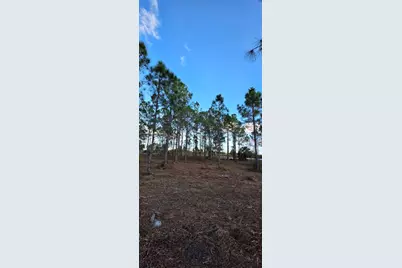 17975 NW 298 St, Okeechobee, FL 34972 - Photo 19