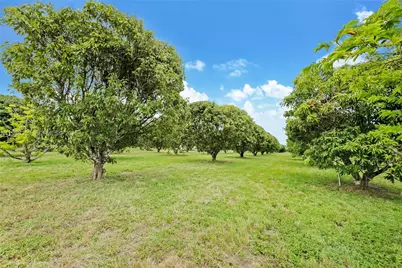 206 SW Street Between 137 Ave & 139 Ave, Miami, FL 33177 - Photo 5